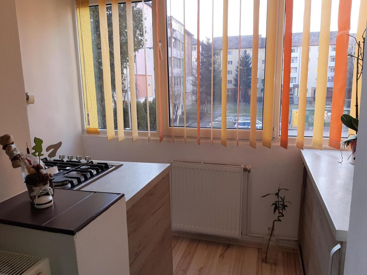 Sepsi 4You Apartment Sfântu-Gheorghe Eksteriør billede